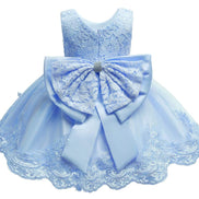 Toddler Girls Pageant Lace Dresses Baby Birthday Party Embroidery