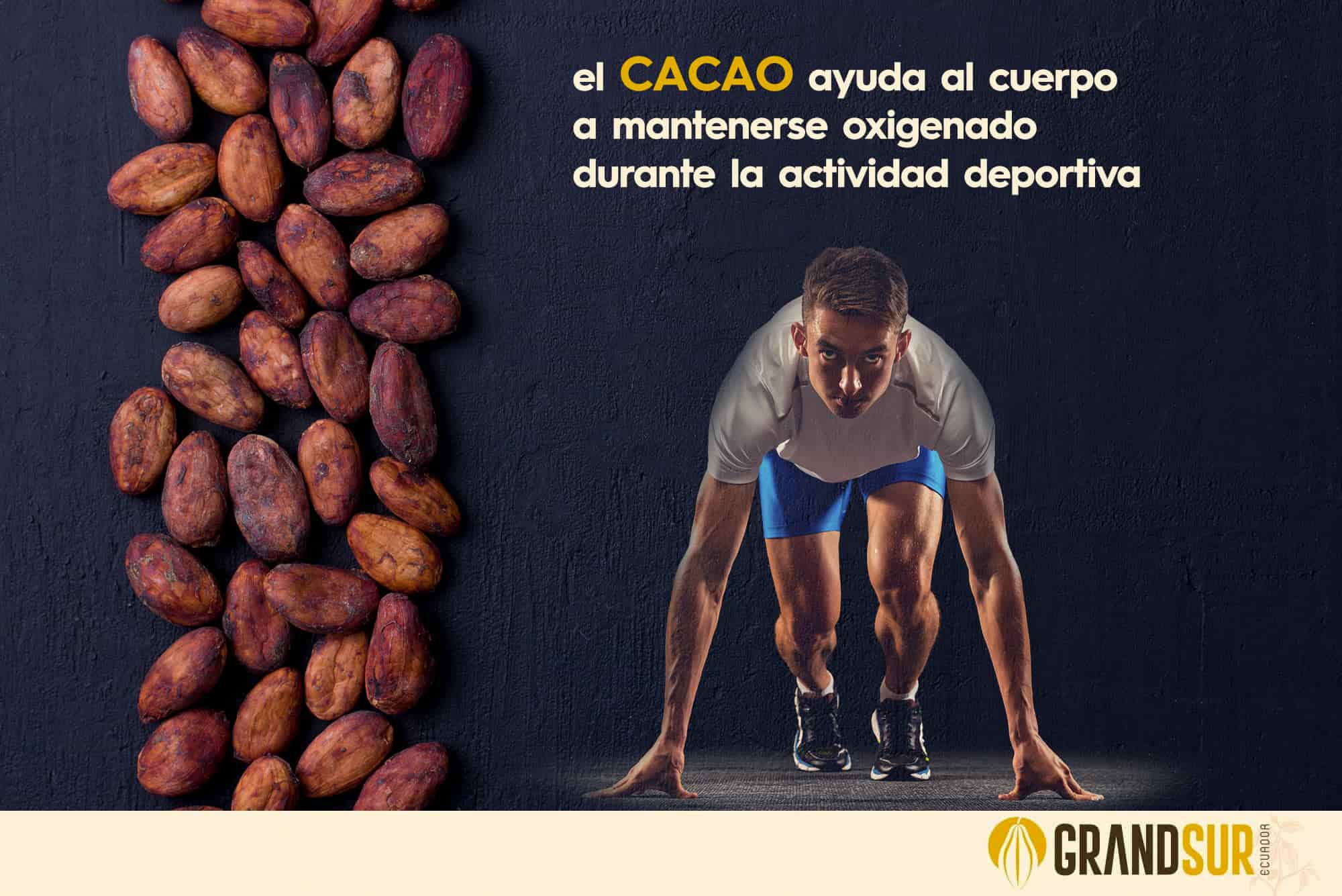 Premium Haitian Cocoa Butter Oil - 100% Organic | AURORE LUXURE