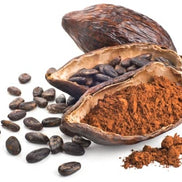 Premium Haitian Cocoa Butter Oil - 100% Organic | AURORE LUXURE