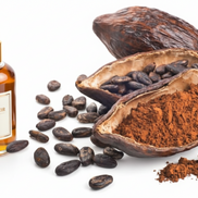 Premium Haitian Cocoa Butter Oil - 100% Organic | AURORE LUXURE