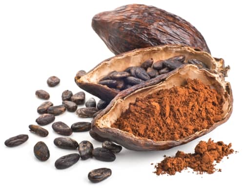 Haitian Cocoa Butter Oil – Natural Skin & Hair Care