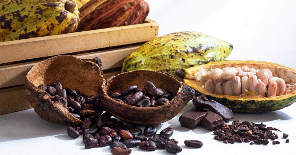 Haitian Cocoa Butter Oil – Natural Skin & Hair Care